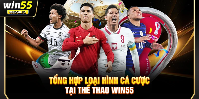 Tổng hợp loại hình cá cược tại thể thao Win55